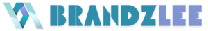Brandzlee - Digital Marketing & Web Development Company